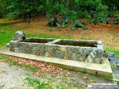 Reserva Natural del Valle de Iruelas;viajes de fin de año cerezos en flor jerte siete picos madrid 